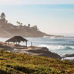Windansea Beach