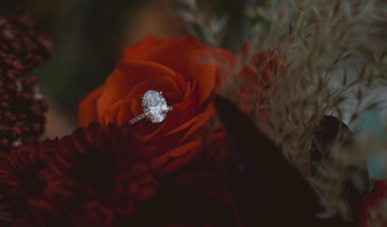 The Wedding Website of Alexis Makayla Cochran and Seth David Kochel