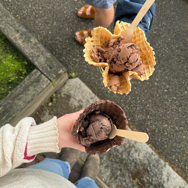 Ice Cream Fund