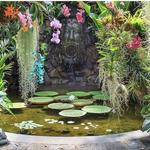 Giardini la Mortella