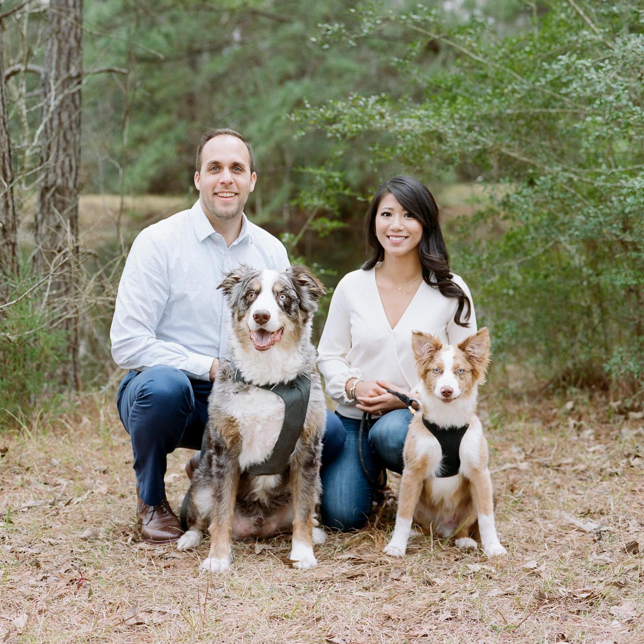 Our furry family.