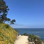 Coast Walk Trail
