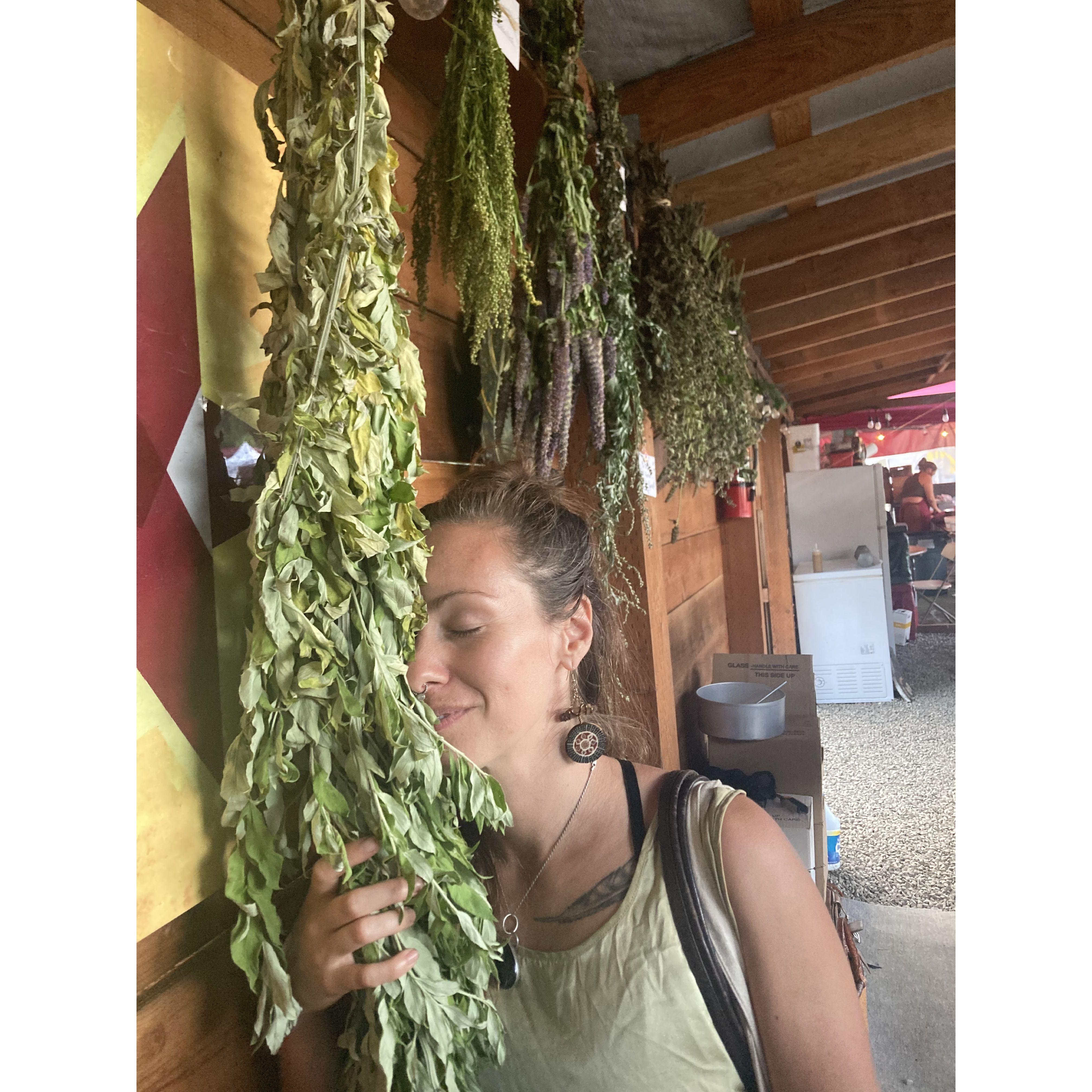 Amber's best man, nose deep into some mugwort at the NW Herb Faire!