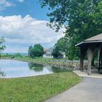 Bullfrog Valley Park