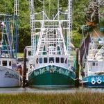 Ocean Springs Harbor