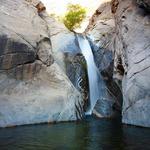 Tahquitz Canyon