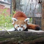 Zoo Boise