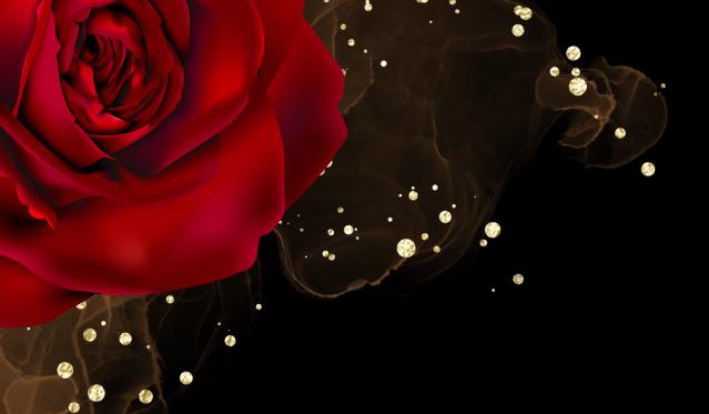 The Wedding Website of Shatoya Miles and Corey Griffin