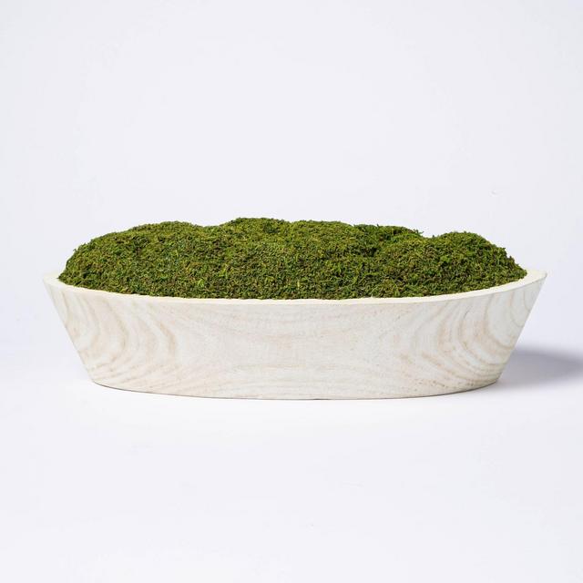 5" x 7" Artificial Moss Wood Plant Arrangement - Threshold™ designed with Studio McGee