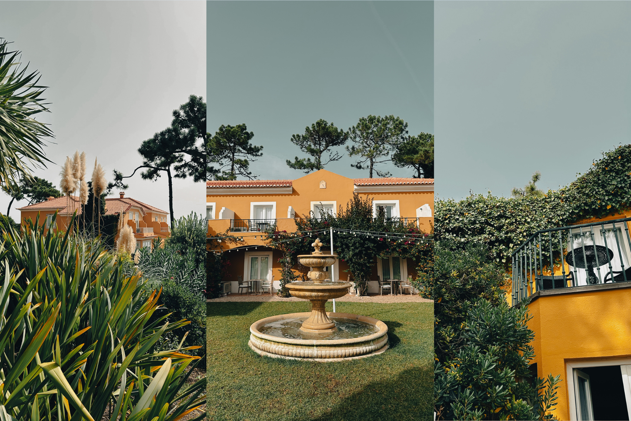 The Wedding Website of Alex Eimiller and Caira Button
