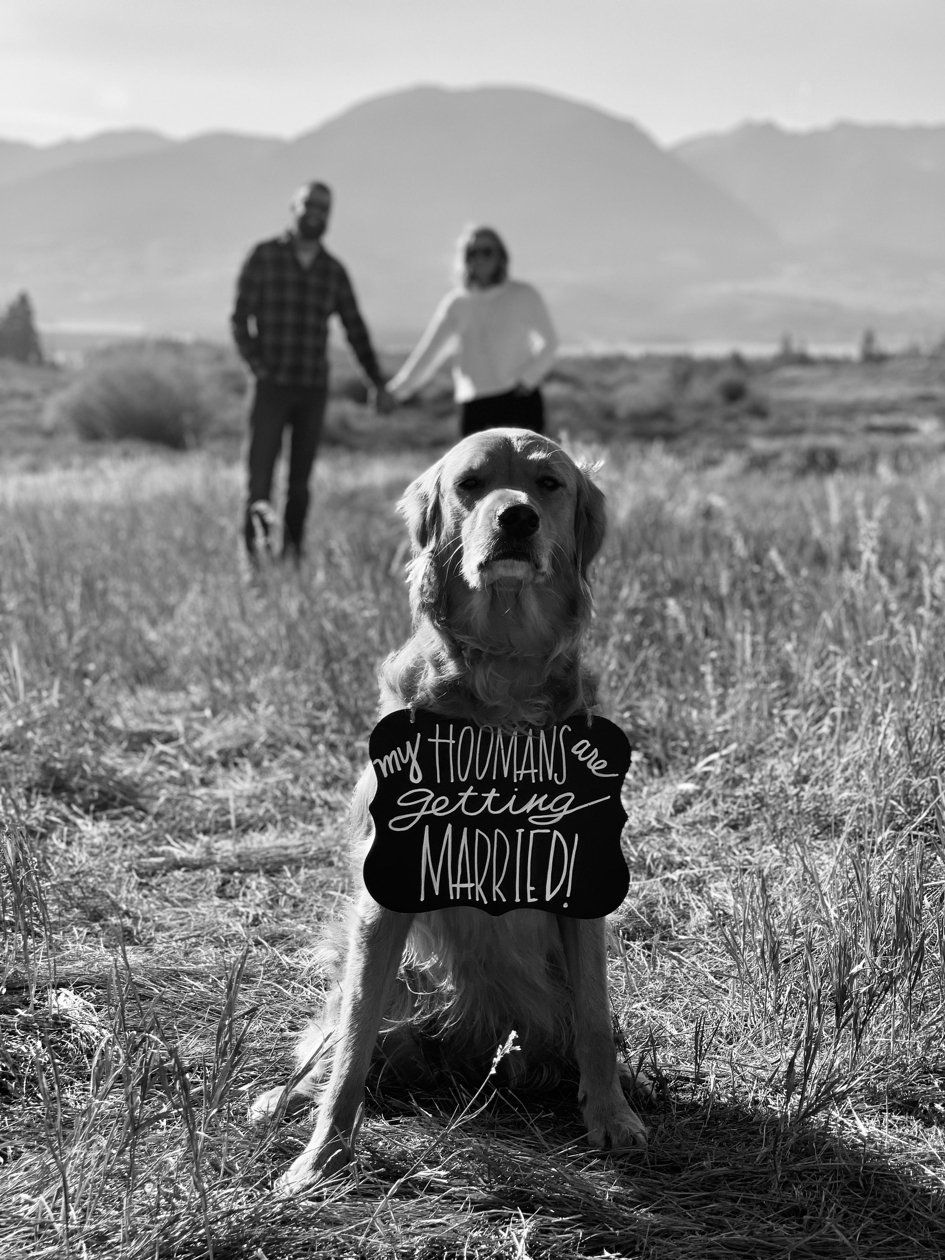 The Wedding Website of Jill Moulton and Dan Roy