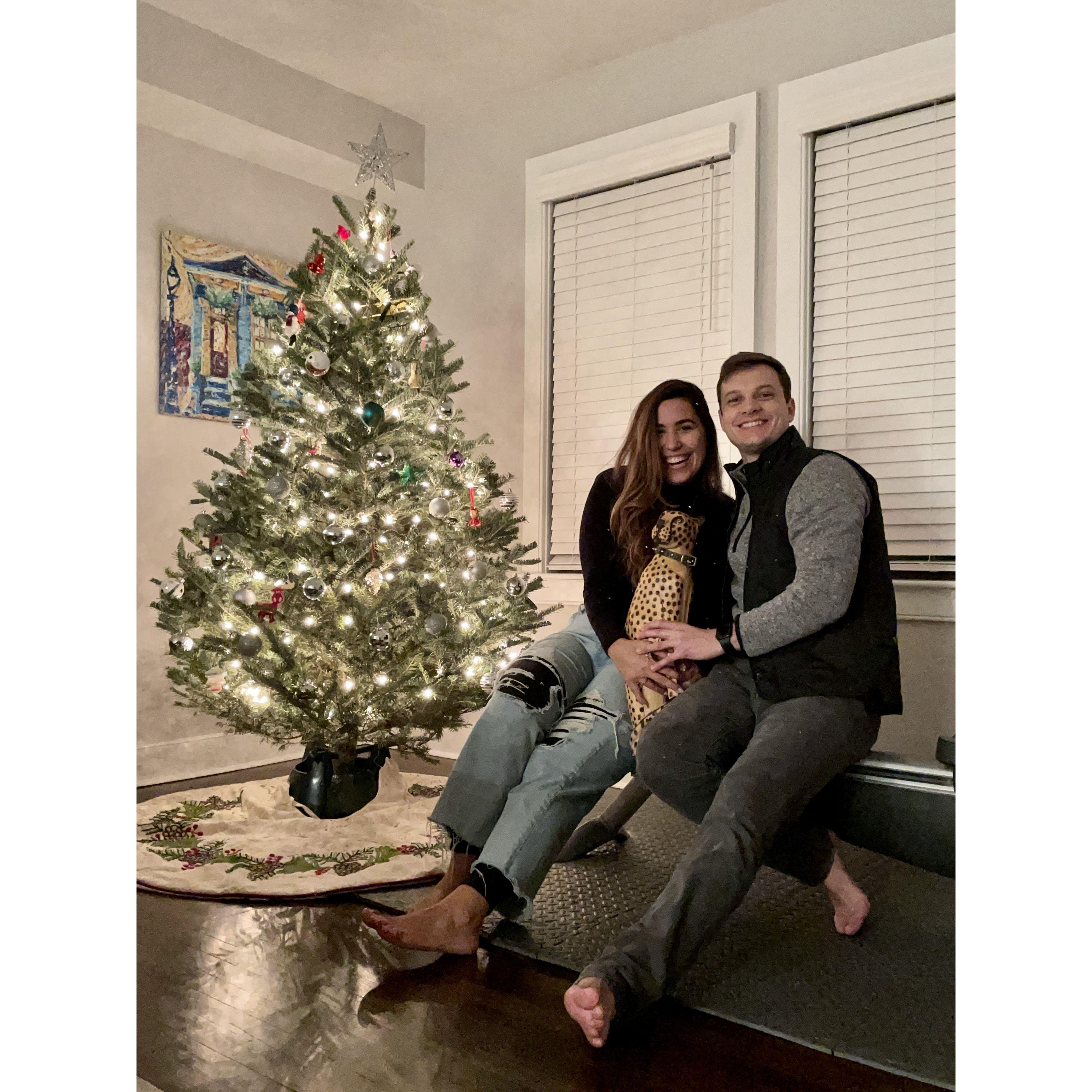 Dezembro de 2021 — Stowie toda decorada e nossa primeira foto em "família" com Def, a cheetah de madeira de Greg posando no lugar de Fifi, a gata de Tati kkkk 😸