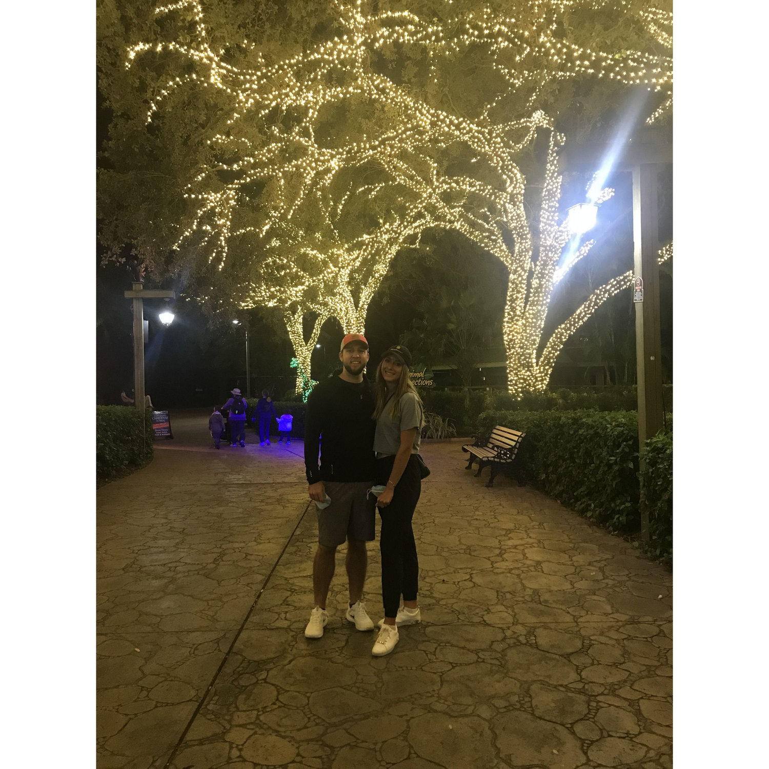 Our trip to