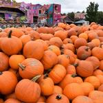 The Great Pocono Pumpkin Festival