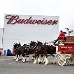 Anheuser-Busch St. Louis Brewery