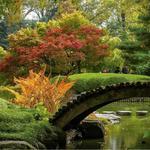 Brooklyn Botanic Garden