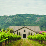Crocker & Starr Wines