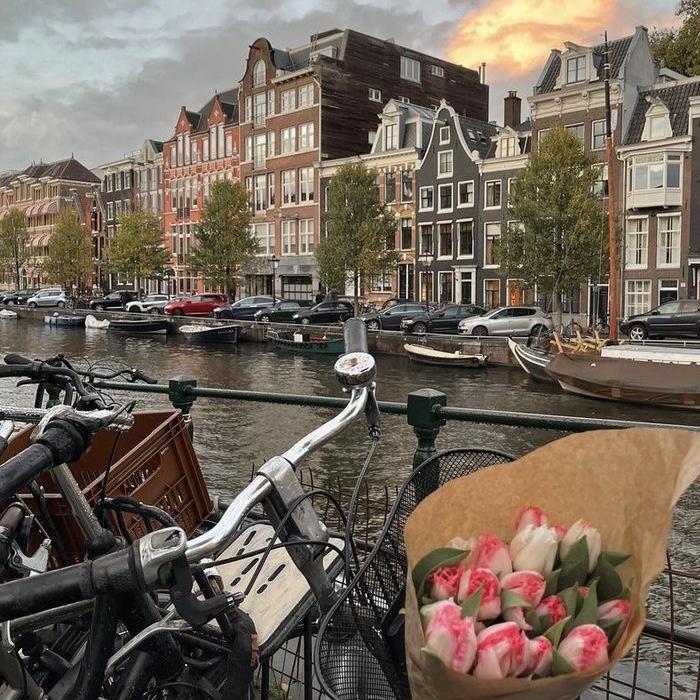 Netherlands Trip Plane Tickets