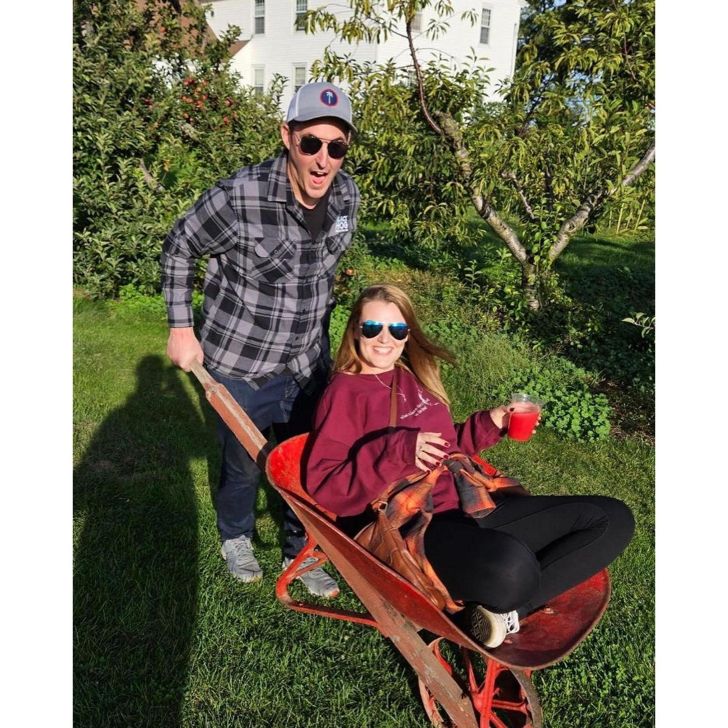 Pumpkin picking last September!