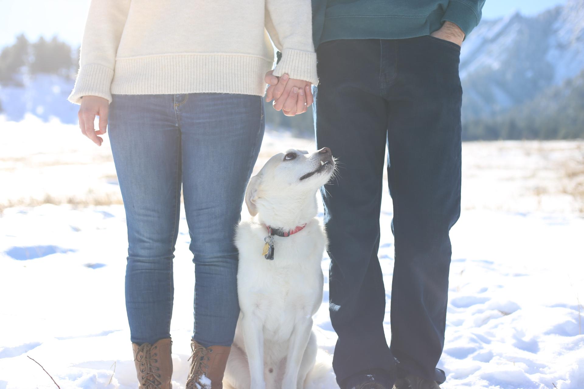 The Wedding Website of Leah Huey and Brenden Fatchett