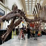 Field Museum