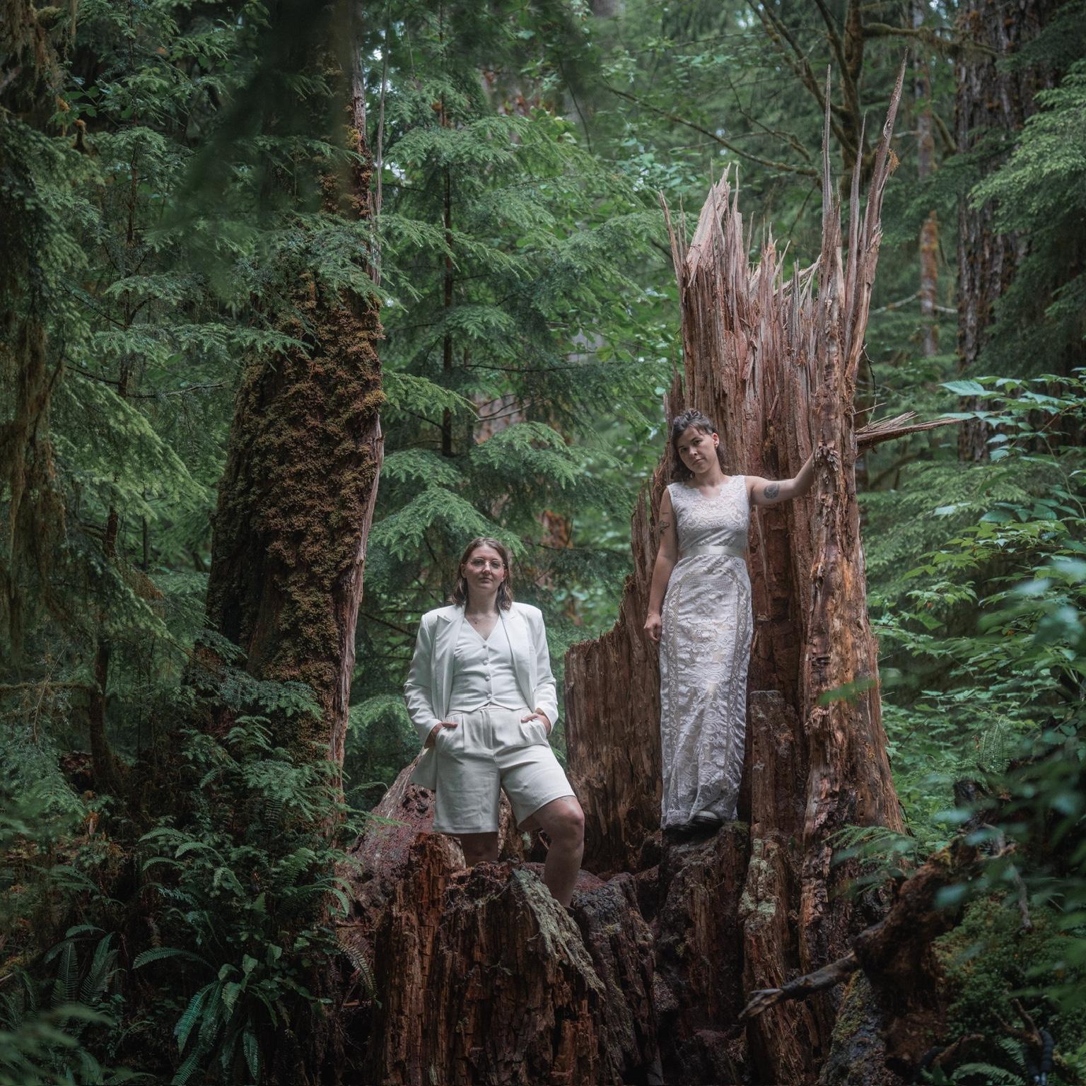 Hero Slideshow Image 0