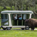Northwest Trek Wildlife Park