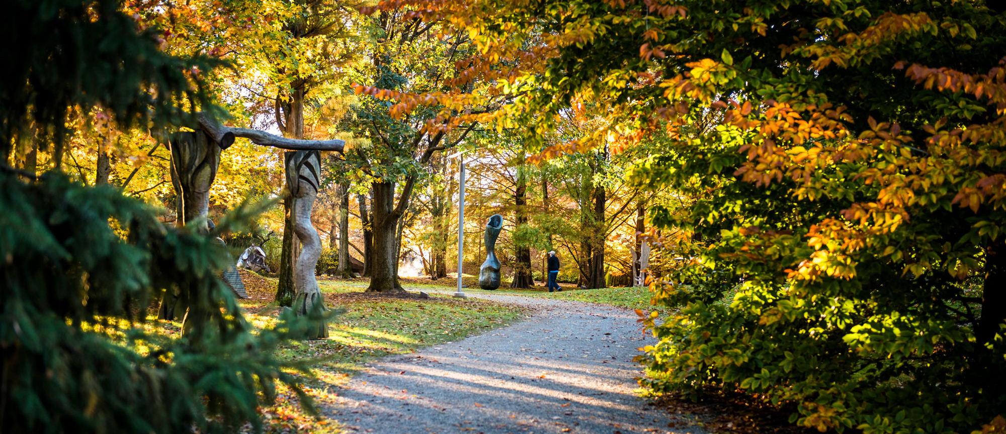 The Wedding Website of Catherine Higgins and Joshua Rothstein