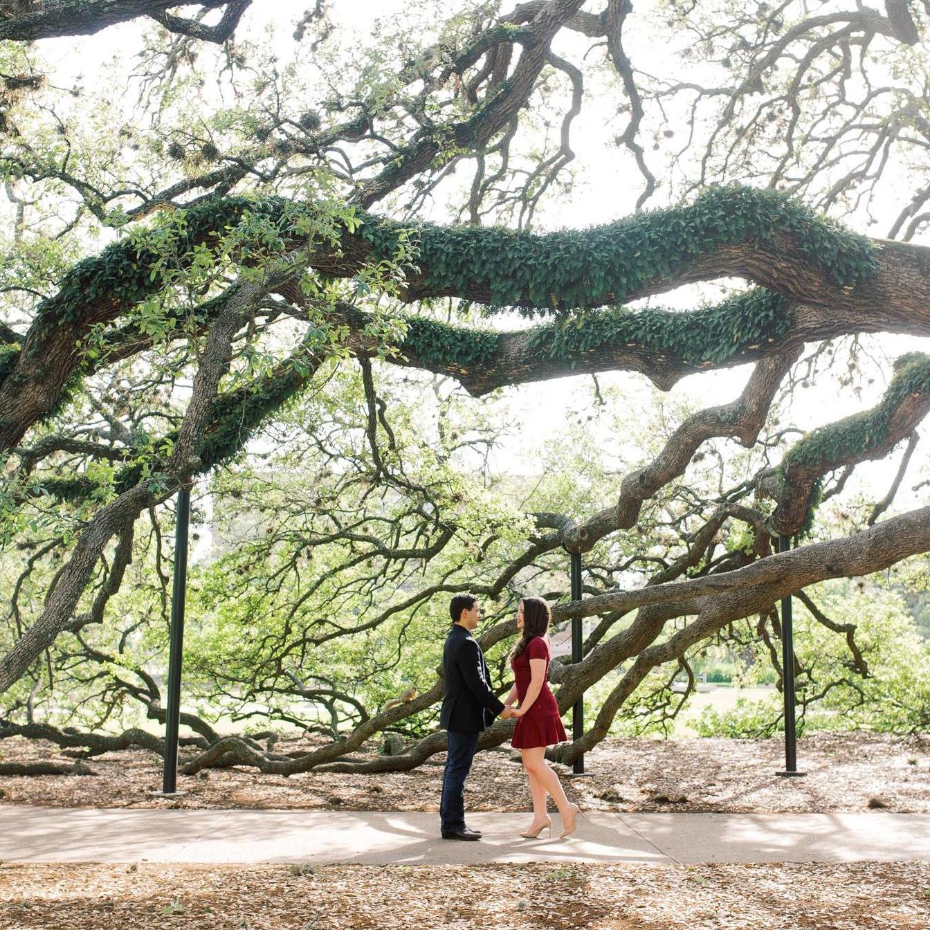 Tree of life