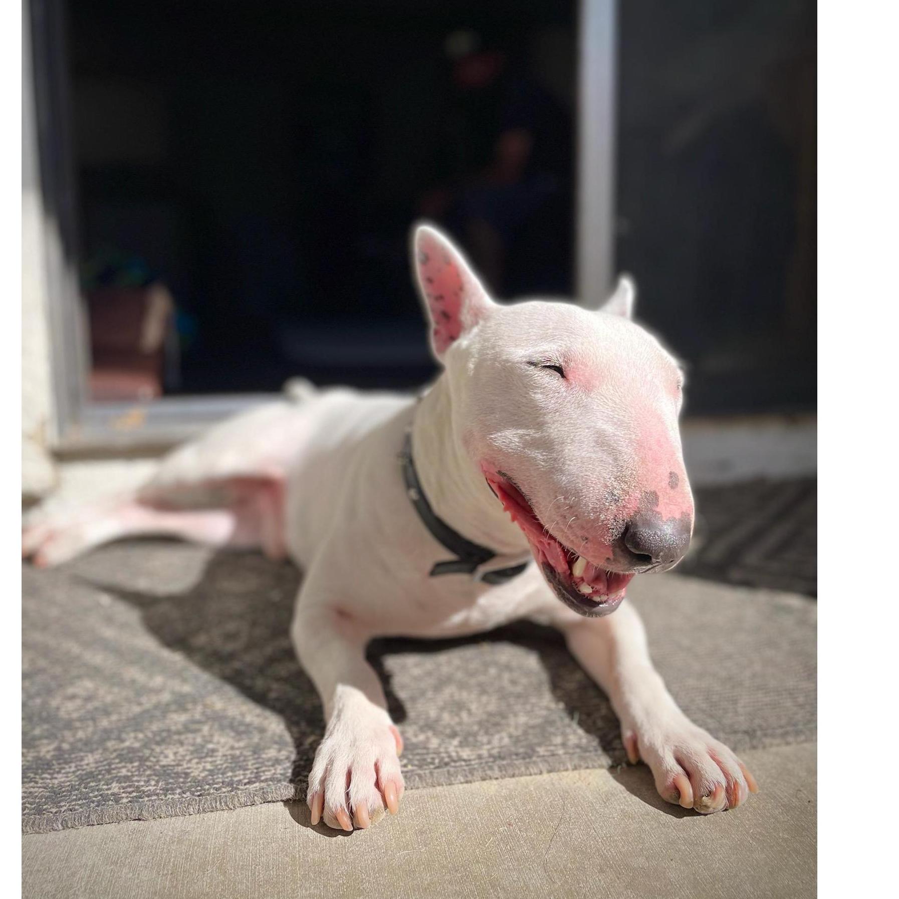 Bubba!