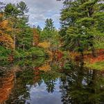 Maudslay State Park