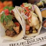 Blue Iguana Cantina