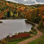 Bradys Run Park