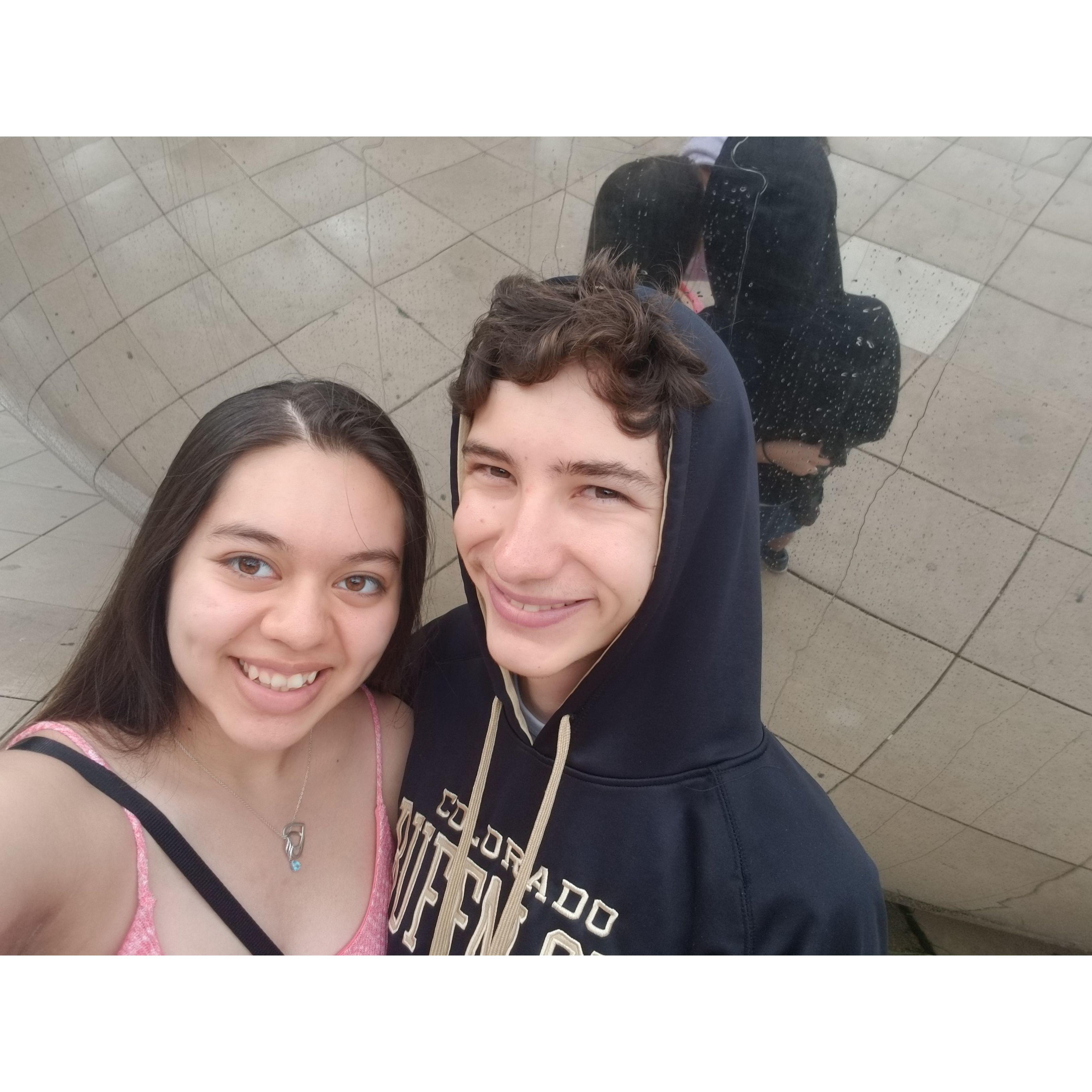 The Chicago Bean 2019