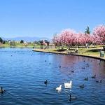 Lake Balboa Park and Japanese Garden