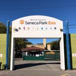 Seneca Park Zoo