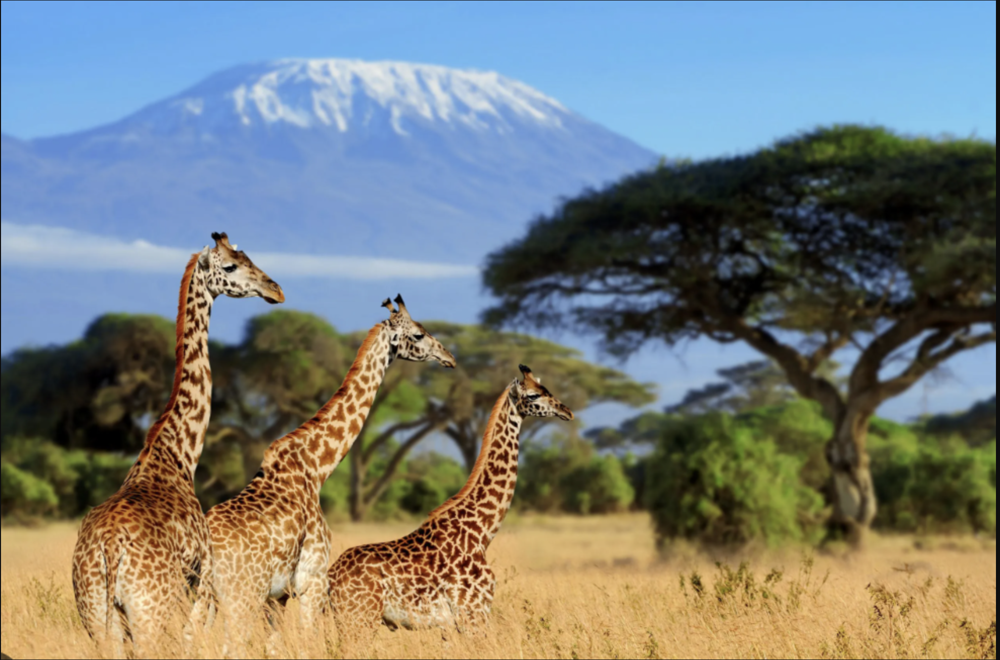 1e32813b-4750-440f-9e06-5447a71adb7f