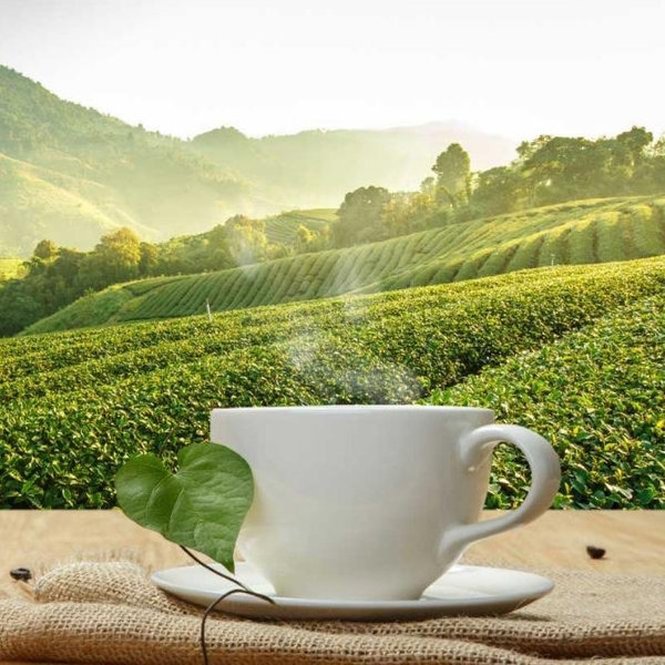 Coffee in Chiang Mai