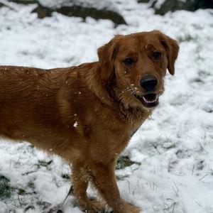 Sammy Fund