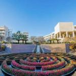The Getty Museum
