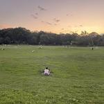 Prospect Park