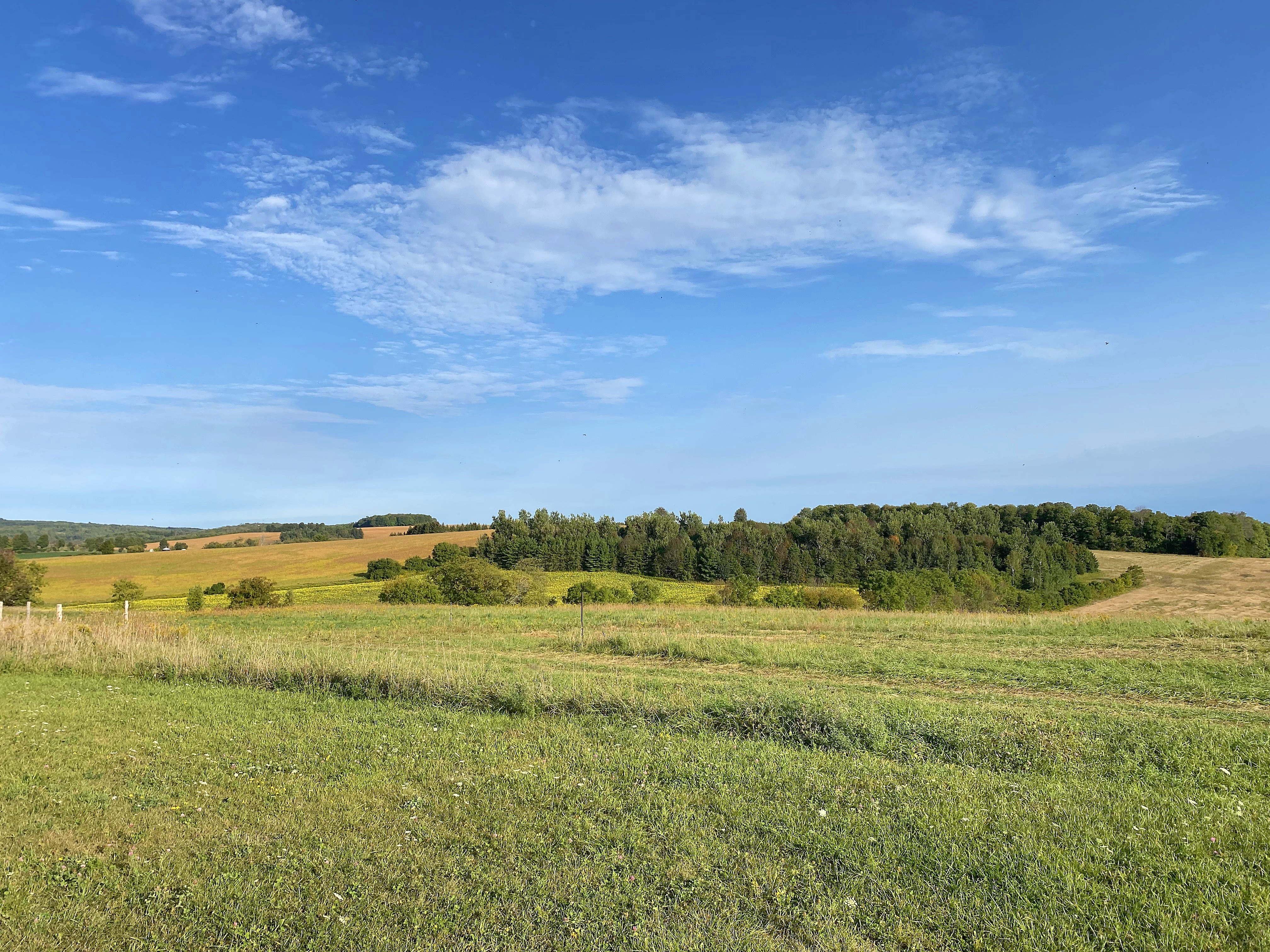 The Wedding Website of Oriah Wiersma and Matthew Thollander
