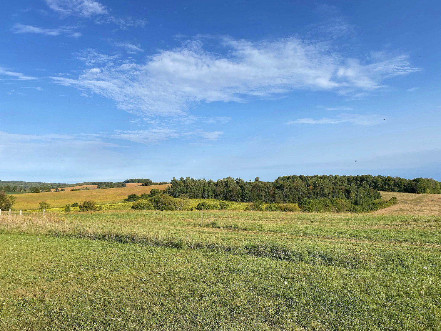 The Wedding Website of Oriah Wiersma and Matthew Thollander