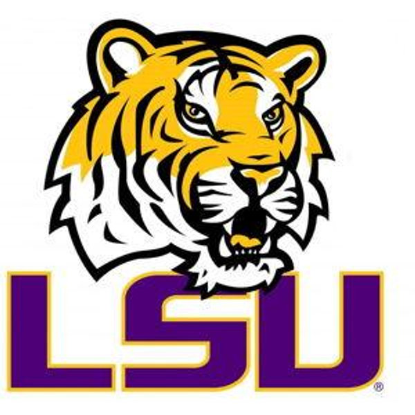 LSU Stuff for new home
