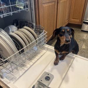 New Dishwasher Fund