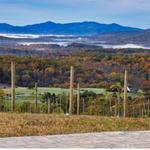 Hazy Mountain Vineyards & Brewery