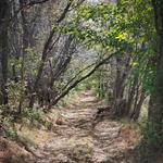 Walking and Hiking Trails