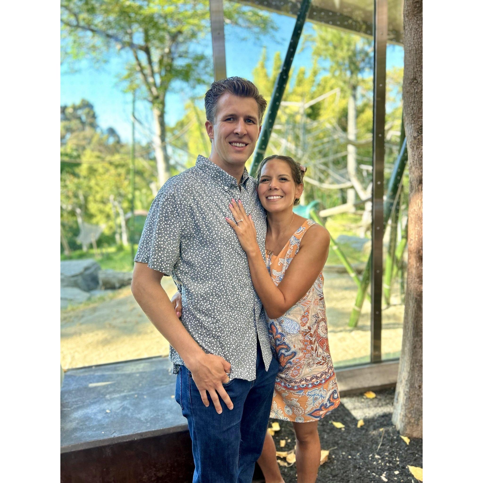 Engagement! San Diego Zoo!