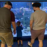 North Carolina Aquarium on Roanoke Island