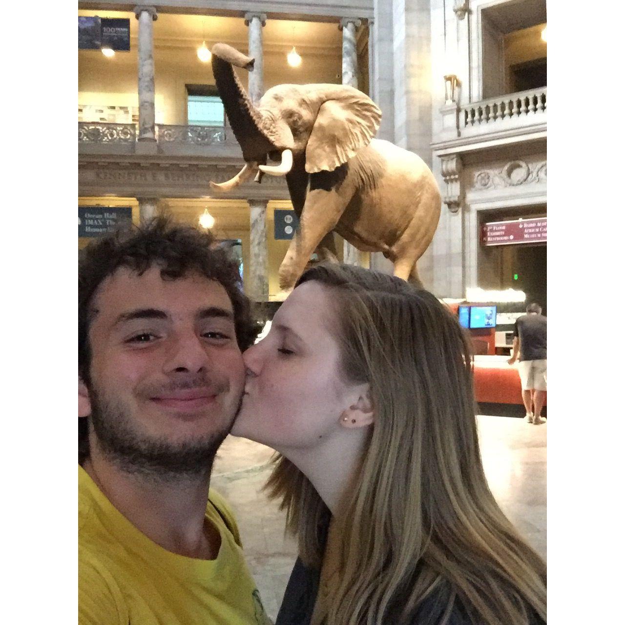 August 2016- Natural History Museum in DC